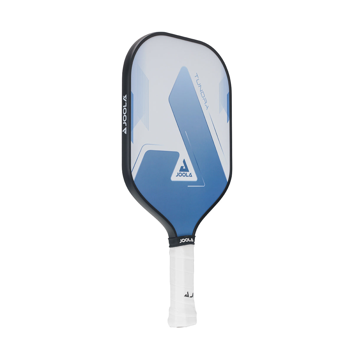 Joola pickleball set tundra